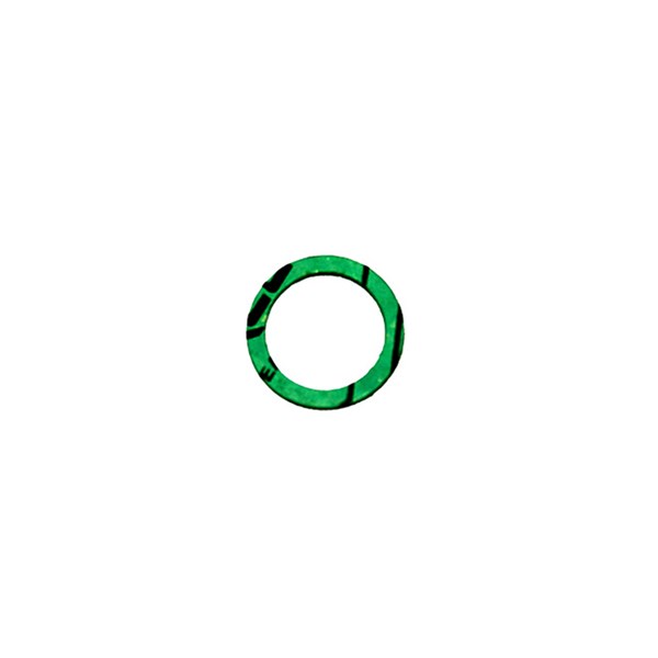 08192, Replacement Gasket for Giant Pumps