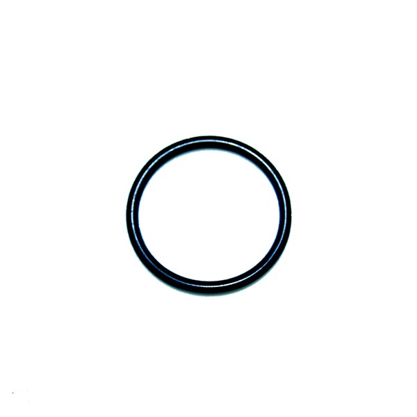 07913, O-Ring for Giant Pumps