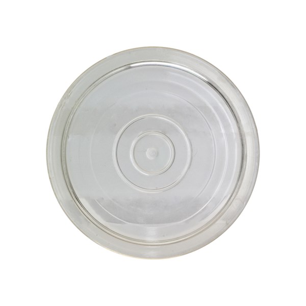 08491, P300 Model Sight Glass by Giant Pumps