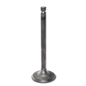 086516, Valve, Exhaust for Generac