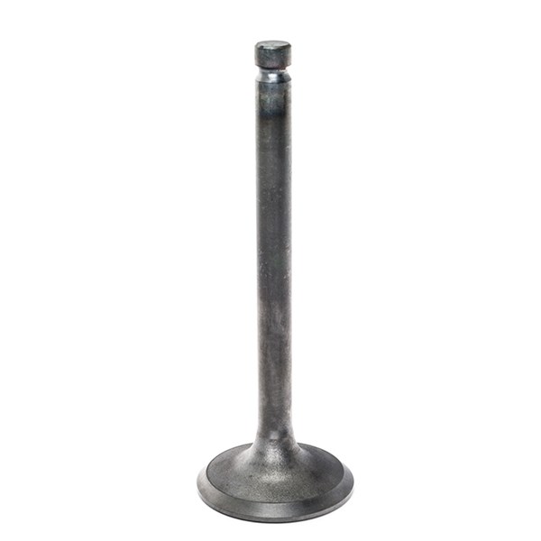 086516, Valve, Exhaust for Generac