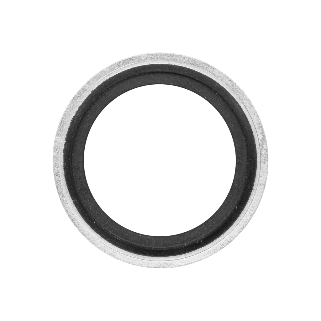08541, Giant Pumps Seal Ring, 1/2"