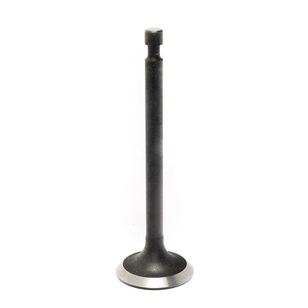 090082, Exhuast Retainer Valve Kit for GN220