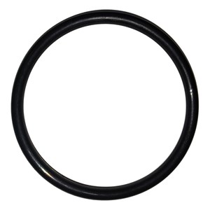 08754, Giant Pumps  O-Ring