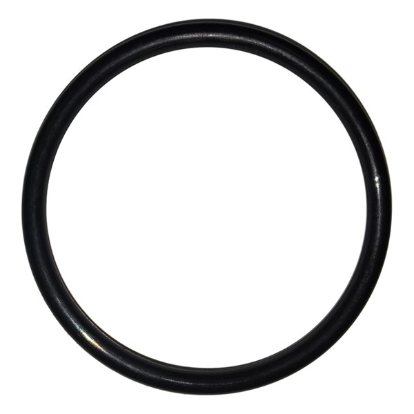 08754, Giant Pumps  O-Ring