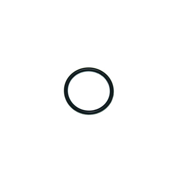 07770, Oil Seal O-ring  for Giant Pumps