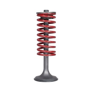 0C3591, Generac  | Intake Valve