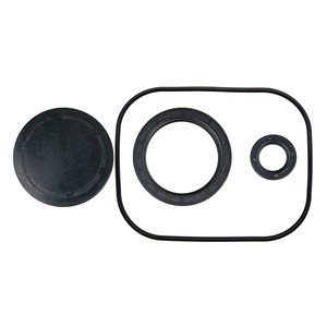0H95660112, Oil Seal Kit  for Generac Pumps