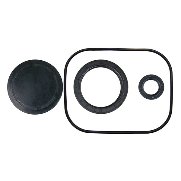 0H95660112, Oil Seal Kit  for Generac Pumps