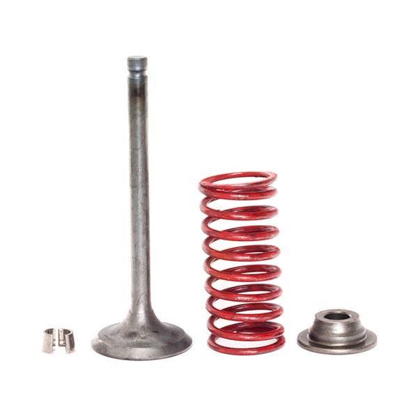 0C3591, Generac  | Intake Valve