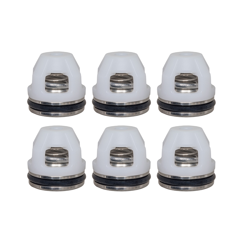 0H95660110, Valve Kit for Generac Pumps