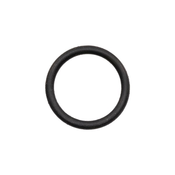 1000.5989, O-RING for Comet Pump - 20.24 X 2.62MM