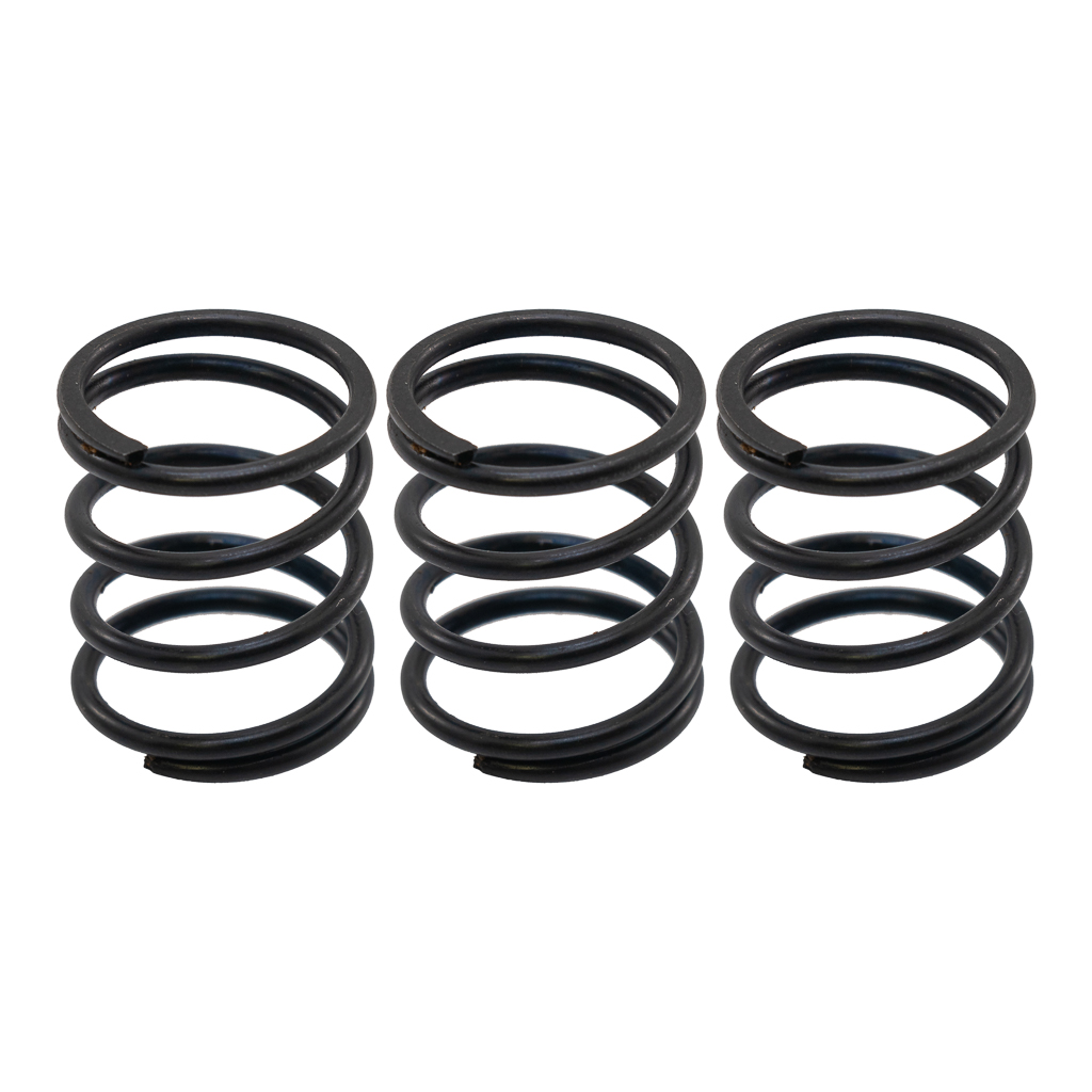 1001.6509, PISTON SPRING