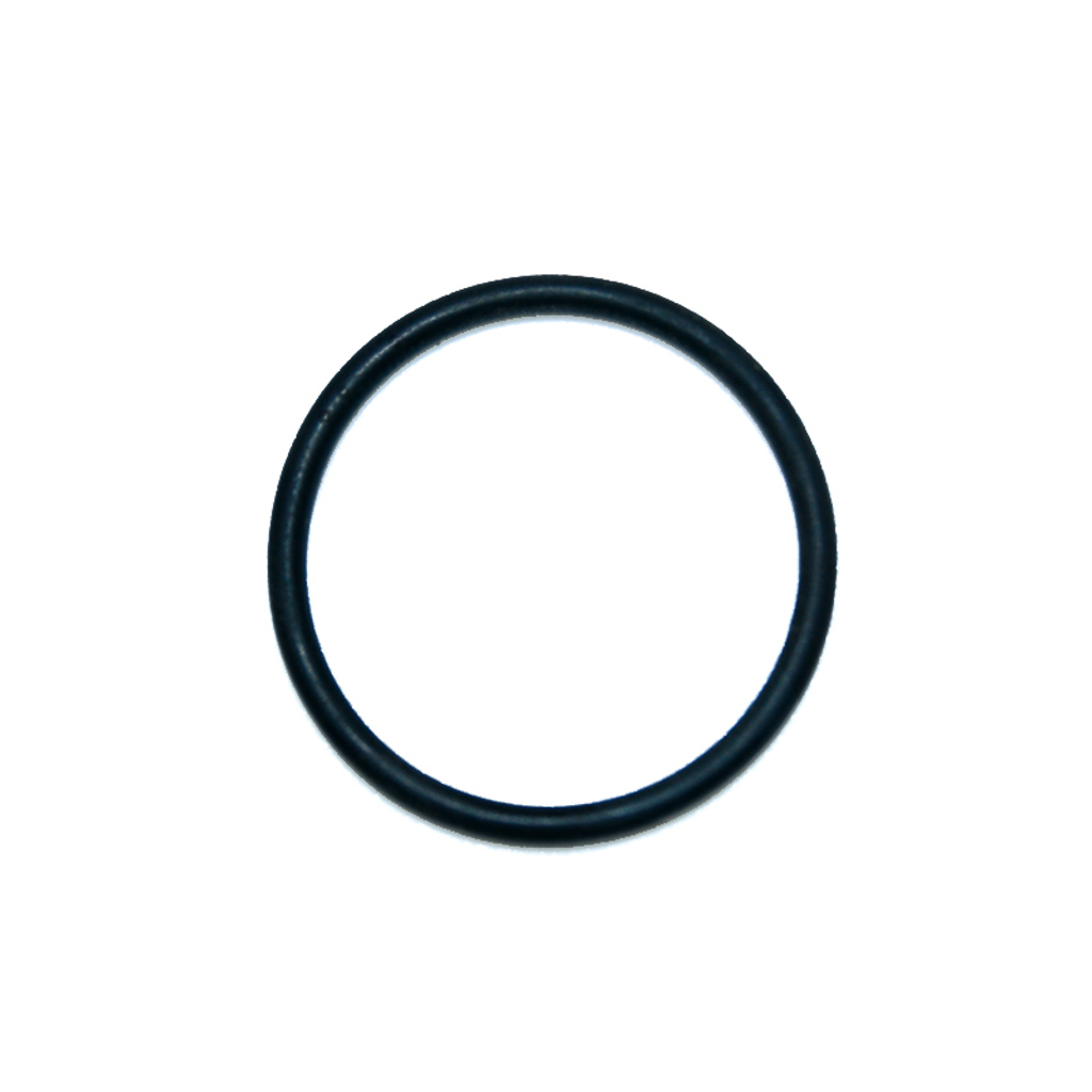 1001.7975, O-RING