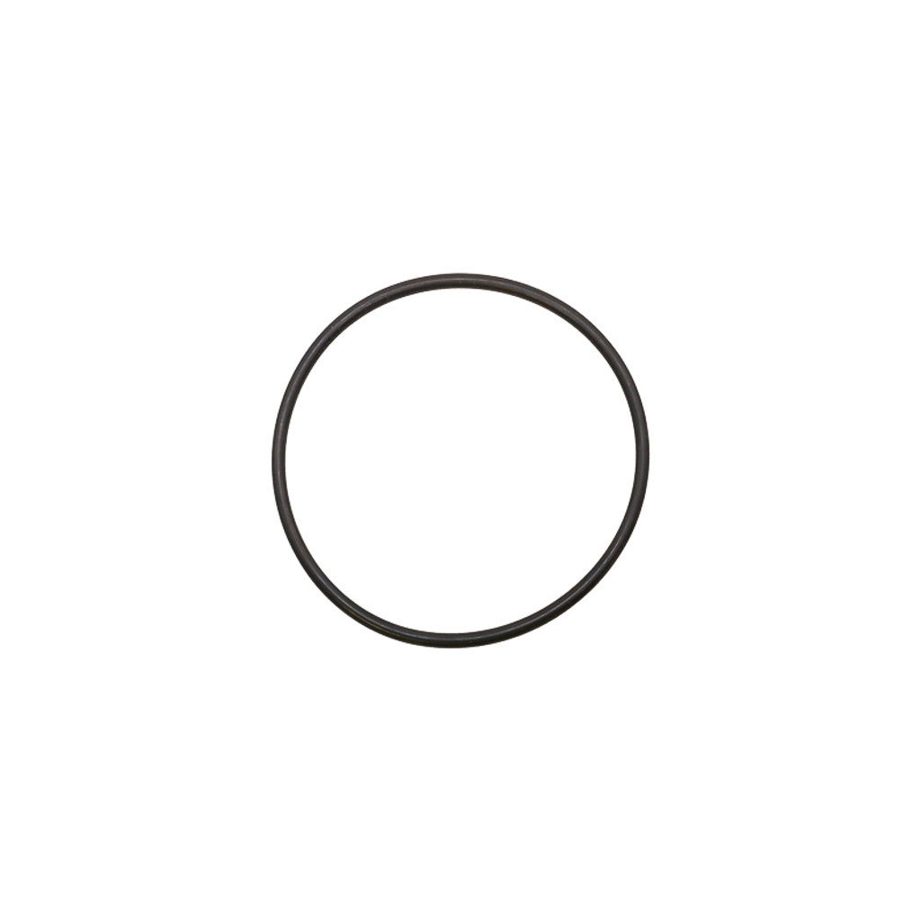 1001.8130, O-RING