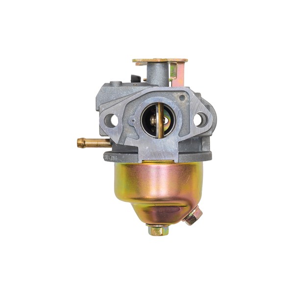 1001.9513, CARBURETOR ASSEMBLY