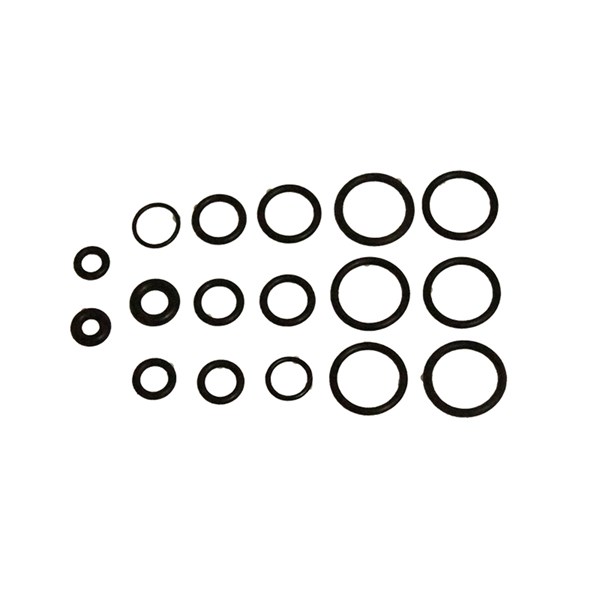 1001.9666, O-RING KIT, GENERAC PUMP