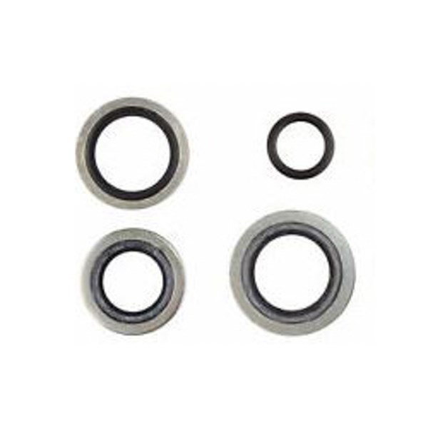 1002.1747, BANJO BOLT WASHER SET (AR2119)
