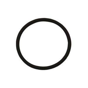 1002.1766, O-RING