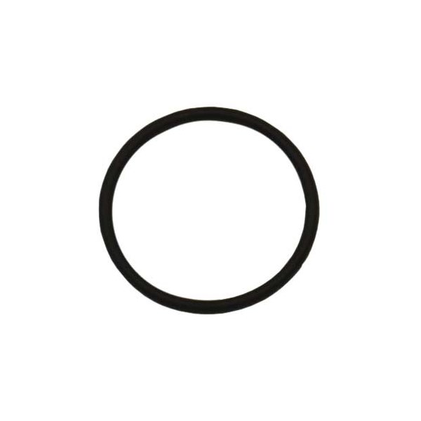 1002.1766, O-RING