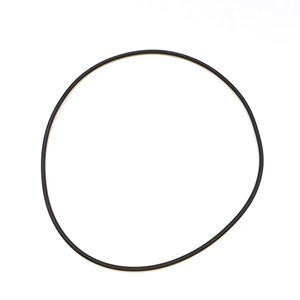 1002.5719, O-RING