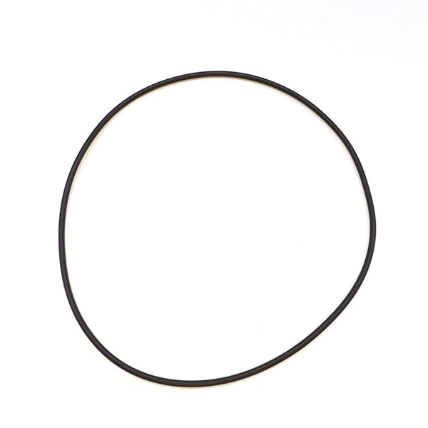 1002.5719, O-RING