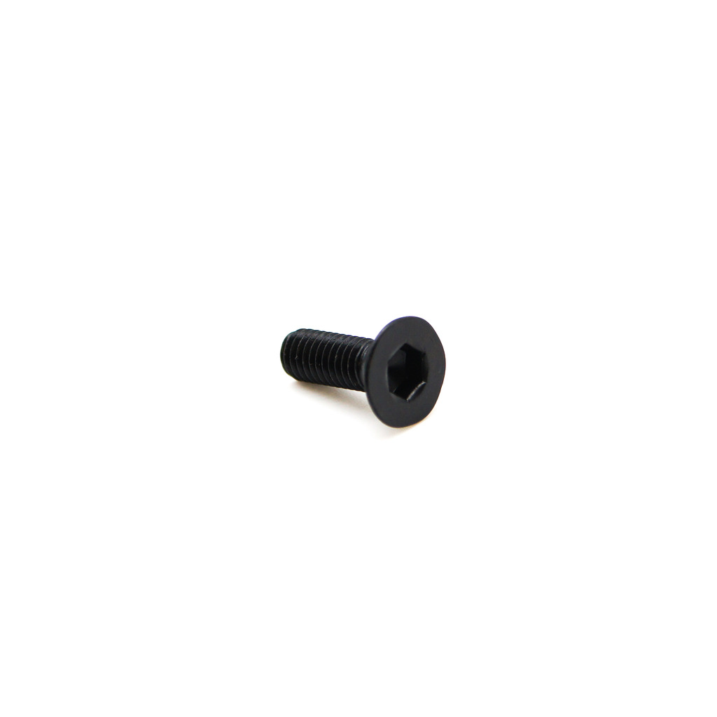 1002.6189, SCREW M6 X 14MM FLAT HD W/RECE