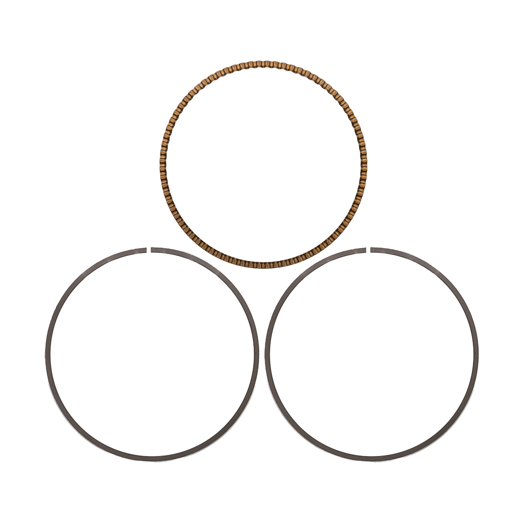 1002.7131, OIL RING SET