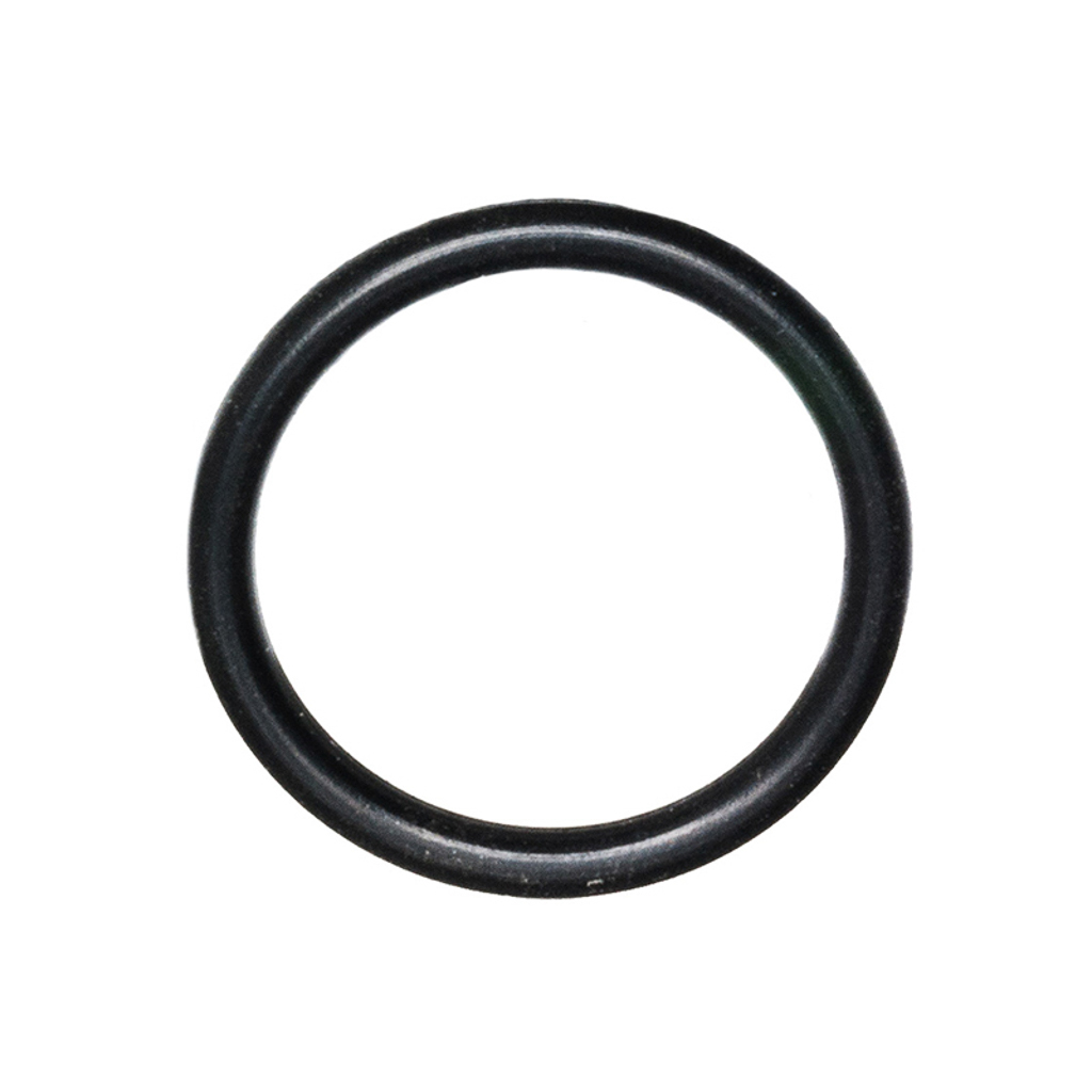 1210.0404.00, Comet Pumps  O-ring for AXD Pumps