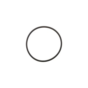 1210.0600.00, O-RING