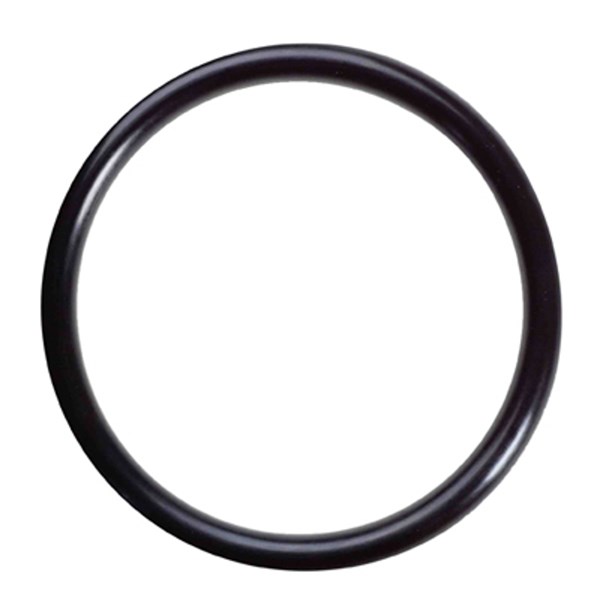 13963, O-RING, 70D